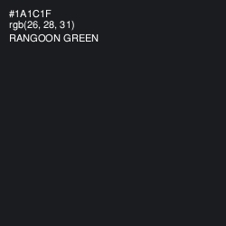 #1A1C1F - Rangoon Green Color Image